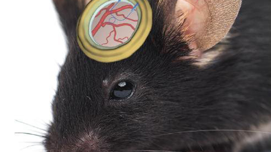 optical micro-ring resonator on a mouse